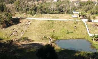 Imagem: SITIO 3 HECTARES NA LOCALIDADE RIBEIRAO