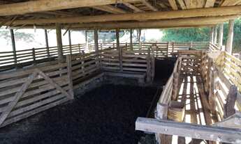 Imagem 5: SITIO 45 HECTARES - LOCALIDADE COLONIA FORMOSA - SANTA TEREZINHA - SC