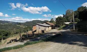 Imagem 6: SITIO 45 HECTARES - LOCALIDADE COLONIA FORMOSA - SANTA TEREZINHA - SC