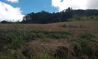 Imagem: SITIO 45 HECTARES - LOCALIDADE COLONIA FORMOSA