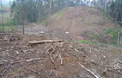 Imagem 6: TERRENO RURAL 12,2 HECTARES, LOCALIDADE SANTA IZABEL - CORRUCHEL - POUSO REDONDO -SC