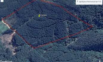 Imagem: Sítio com 10,00 hectares, próximo ao Centro