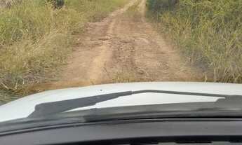 Imagem 7: Sitio reflorestado em Salete S.C