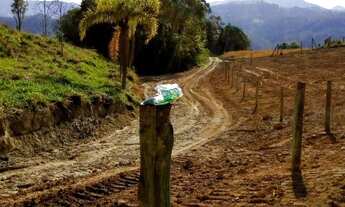 Imagem 6: Sitio reflorestado em Salete S.C