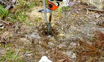 Imagem 5: Sitio reflorestado em Salete S.C