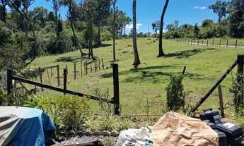 Imagem 3: Sitio com 2 hectares no bairro Platina em Salete - SC