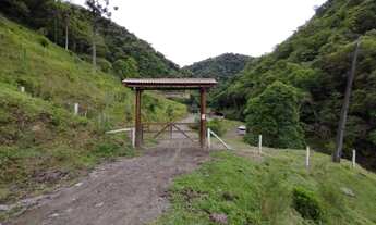Imagem 5: SITIO PRÓXIMO CACHOEIRA - NATUREZA EXUBERANTE - MORRO DO FUNIL - MIRIM DOCE - SC