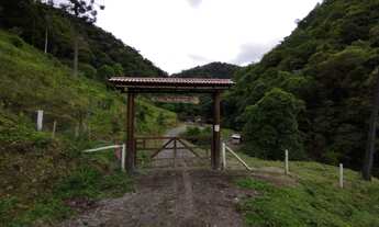 Imagem 4: SITIO PRÓXIMO CACHOEIRA - NATUREZA EXUBERANTE - MORRO DO FUNIL - MIRIM DOCE - SC