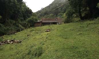 Imagem 2: SITIO PRÓXIMO CACHOEIRA - NATUREZA EXUBERANTE - MORRO DO FUNIL - MIRIM DOCE - SC