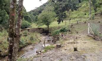 Imagem 3: SITIO PRÓXIMO CACHOEIRA - NATUREZA EXUBERANTE - MORRO DO FUNIL - MIRIM DOCE - SC