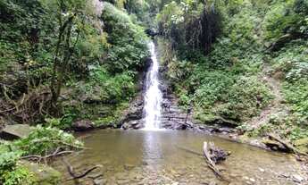 Imagem: SITIO PRÓXIMO CACHOEIRA - NATUREZA EXUBERANTE