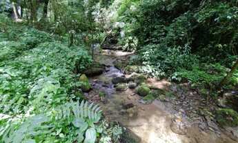 Imagem 6: LINDO SÍTIO PRÓXIMO CACHOEIRA - NATUREZA EXUBERANTE - MORRO DO FUNIL - MIRIM DOCE SC