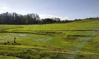 Imagem 5: SITIO COM CASA COM PISCINA NO DISTRITO DE PASSO MANSO - TAIÓ - S.C