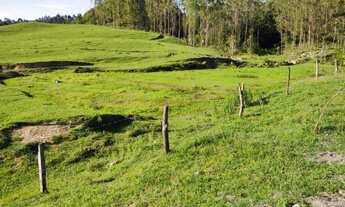 Imagem 7: SITIO COM CASA COM PISCINA NO DISTRITO DE PASSO MANSO - TAIÓ - S.C