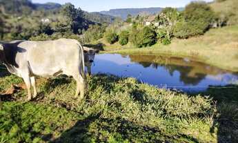 Imagem 6: PEQUENO SITIO PARA MORADIA OU CASA DE CAMPO EM SALETE SC