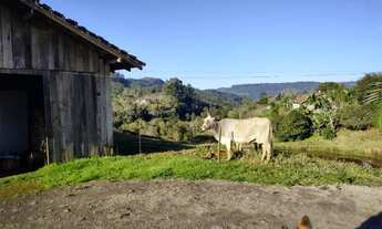Imagem 5: PEQUENO SITIO PARA MORADIA OU CASA DE CAMPO EM SALETE SC