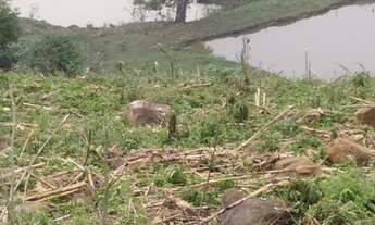 Imagem 4: SITIO 3,5 HECTARES SÃO JOÃO DO MIRADOR - PAPANDUVA - S.C