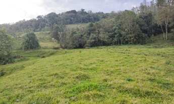 Imagem 4: SITIO COM 40 HECTARES 4 KM DO CENTRO DA CIDADE DE TAIÓ SC, 3 CASAS, 2 GALPÕES - IDEAL P