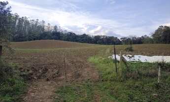 Imagem: SITIO COM 40 HECTARES 4 KM DO CENTRO DA