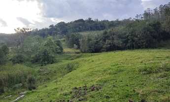 Imagem 6: SITIO COM 40 HECTARES 4 KM DO CENTRO DA CIDADE DE TAIÓ SC, 3 CASAS, 2 GALPÕES - IDEAL P