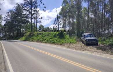 Imagem 6: Sítio com 7,97 hectares, ideal para indústria, beira rodovia, Centro, Santa Terezinha - SC