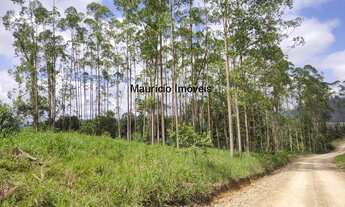 Imagem: SITIO COM 27,72 HECTARES COM REFLORESTAMENTO