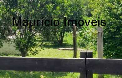 Imagem 3: CHÁCARA COM 5.000 m² - 2 CASAS, RANCHO, RIACHO - RIO ANTINHA - PETROÂNDIA - S.C