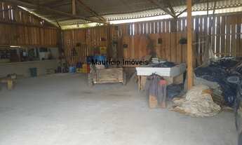 Imagem 4: SITIO COM 18,9 HECTARES COM GALPÃO PARA EVENTOS, 2 CASAS , 2 ESTUFAS, BARRO BRANCO - ALFRE