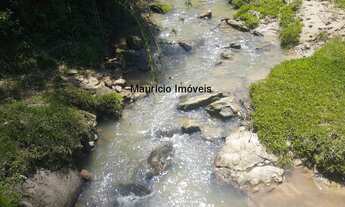 Imagem 5: SITIO COM 13 HECTARES, CASA E ESTUFA DE FUMO, BARRO BRANCO, ALFREDO WAGNER SC