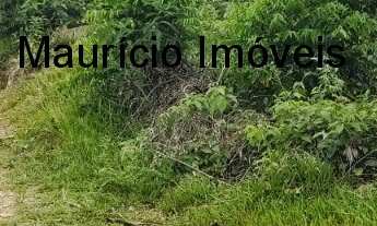 Imagem 7: SITIO COM 13,59 HECTARES RIBEIRÃO DOS LOBOS - TAIÓ - SC, DISTANTE EM 4 KM DA RODOVIA E A 8