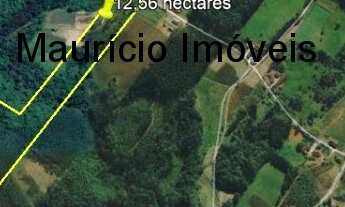 Imagem 2: SITIO COM 13,59 HECTARES RIBEIRÃO DOS LOBOS - TAIÓ - SC, DISTANTE EM 4 KM DA RODOVIA E A 8