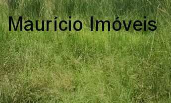 Imagem 6: SITIO COM 13,59 HECTARES RIBEIRÃO DOS LOBOS - TAIÓ - SC, DISTANTE EM 4 KM DA RODOVIA E A 8