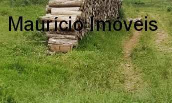 Imagem 5: SITIO COM 13,59 HECTARES RIBEIRÃO DOS LOBOS - TAIÓ - SC, DISTANTE EM 4 KM DA RODOVIA E A 8