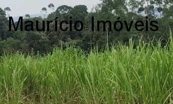 Imagem 3: SITIO COM 13,59 HECTARES RIBEIRÃO DOS LOBOS - TAIÓ - SC, DISTANTE EM 4 KM DA RODOVIA E A 8