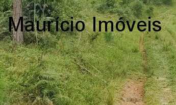 Imagem 4: SITIO COM 13,59 HECTARES RIBEIRÃO DOS LOBOS - TAIÓ - SC, DISTANTE EM 4 KM DA RODOVIA E A 8