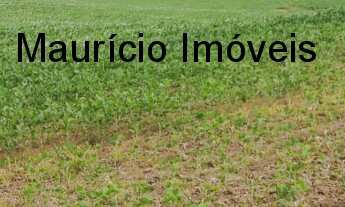 Imagem: SITIO COM 31 HECTARES PARA CRIAÇÃO DE
