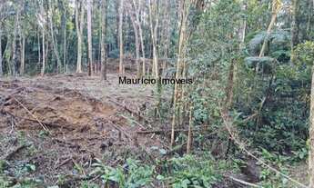 Imagem 5: TERRENO URBANO PARA LOTEAMENTO OU SÍTIO PRÓXIMO A CIDADE DE TAIÓ COM A ÁREA DE 30.000,00 m