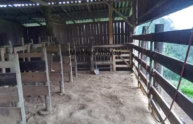 Imagem 2: SITIO 16.700,00 m² Escriturado, Bela Vista, Taió, SC, a 10 km da cidade, com casa, ranchos