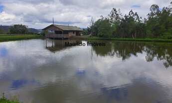 Imagem: Lindo sítio com 7 hectares, Ribeirão Cachoeira