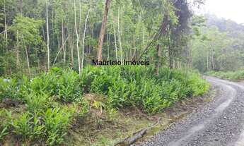 Imagem 4: Terreno rural com 55,58 hectares, parte reflorestado eucaliptos e parte com reserva flore