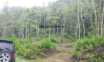 Imagem 3: Terreno rural com 55,58 hectares, parte reflorestado eucaliptos e parte com reserva flore