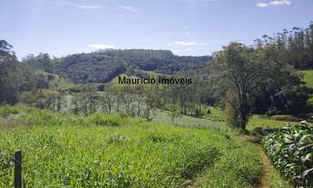 Imagem: Sítio com 35 hectares, plantio milho e