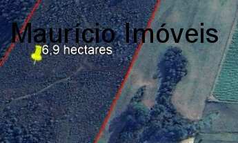 Imagem: Sitio com 6,9 hectares com reflorestamento