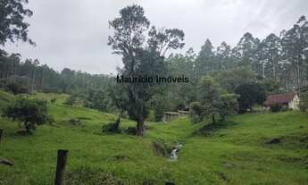 Imagem 5: SITIO 50,44 HECTARES CRIAÇÃO DE GADO E COM REFLORESTAMENTO EUCALIPTOS, TAIÓ, S.C