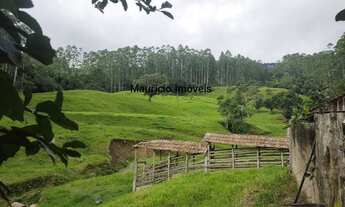 Imagem 3: SITIO 50,44 HECTARES CRIAÇÃO DE GADO E COM REFLORESTAMENTO EUCALIPTOS, TAIÓ, S.C