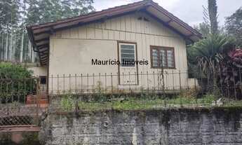 Imagem 7: SITIO 50,44 HECTARES CRIAÇÃO DE GADO E COM REFLORESTAMENTO EUCALIPTOS, TAIÓ, S.C