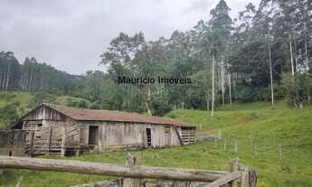 Imagem 2: SITIO 50,44 HECTARES CRIAÇÃO DE GADO E COM REFLORESTAMENTO EUCALIPTOS, TAIÓ, S.C