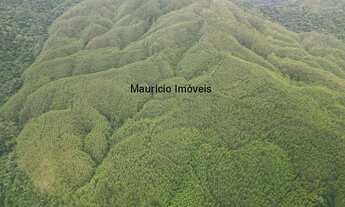 Imagem: SITIO 156 HECTARES COM REFLORESTAMENTO EUCALIPTOS