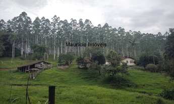 Imagem 6: SITIO 50,44 HECTARES CRIAÇÃO DE GADO E COM REFLORESTAMENTO EUCALIPTOS, TAIÓ, S.C