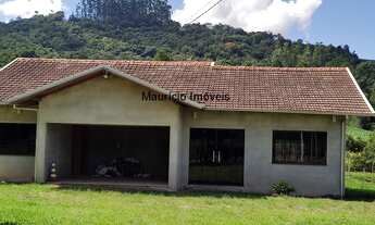 Imagem 4: SITIO COM 8.077,00 M² ESCRITURADO COM CASA NOVA ALVENARIA DONA LUIZA ATALANTA S.C